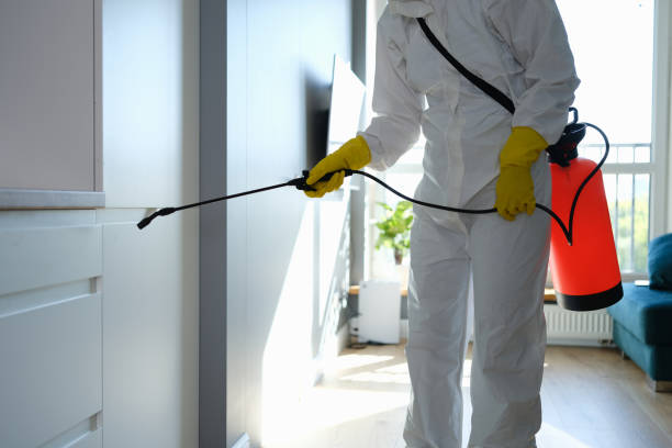 Best Commercial Mold Removal  in Rexland Acres, CA