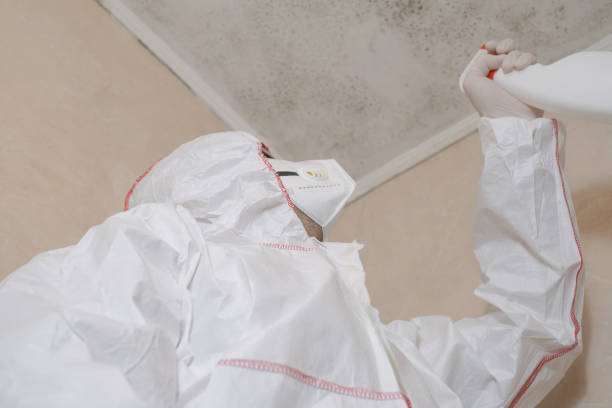 Best Mold Testing  in Rexland Acres, CA