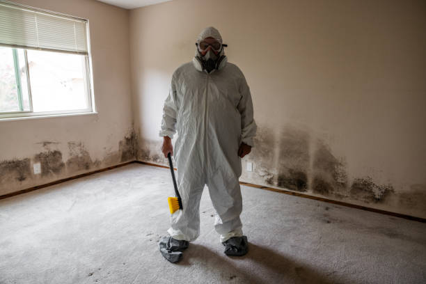 Best Residential Mold Removal  in Rexland Acres, CA